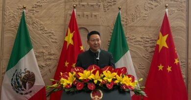 China promueve una gobernanza global más justa y razonable: Chen Daojiang
